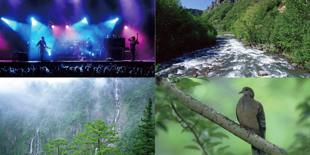 コールマン HR Lite 8×25WP/10×25WP