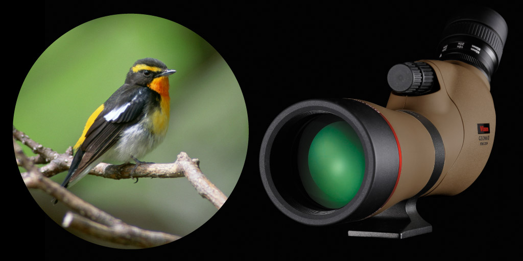 ジオマⅢ ED65/80 ZOOM M-174三脚セット