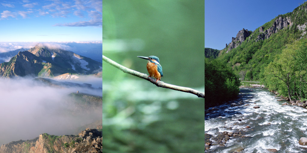 ジオマ ミニ ED50 ZOOM