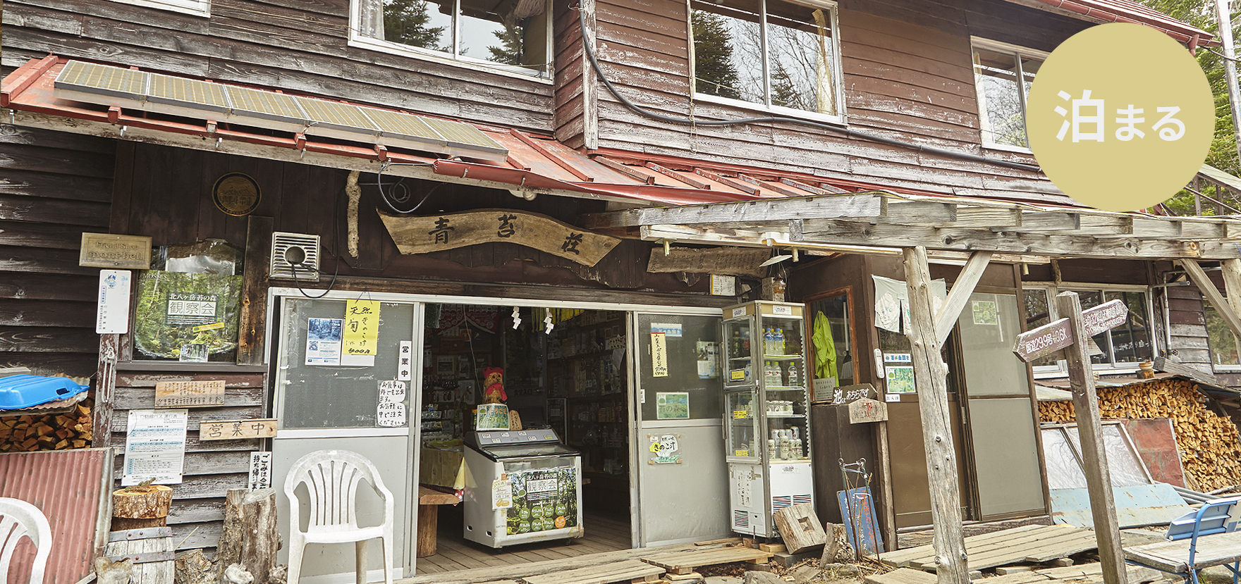 見て楽しい、食べて美味しいご馳走