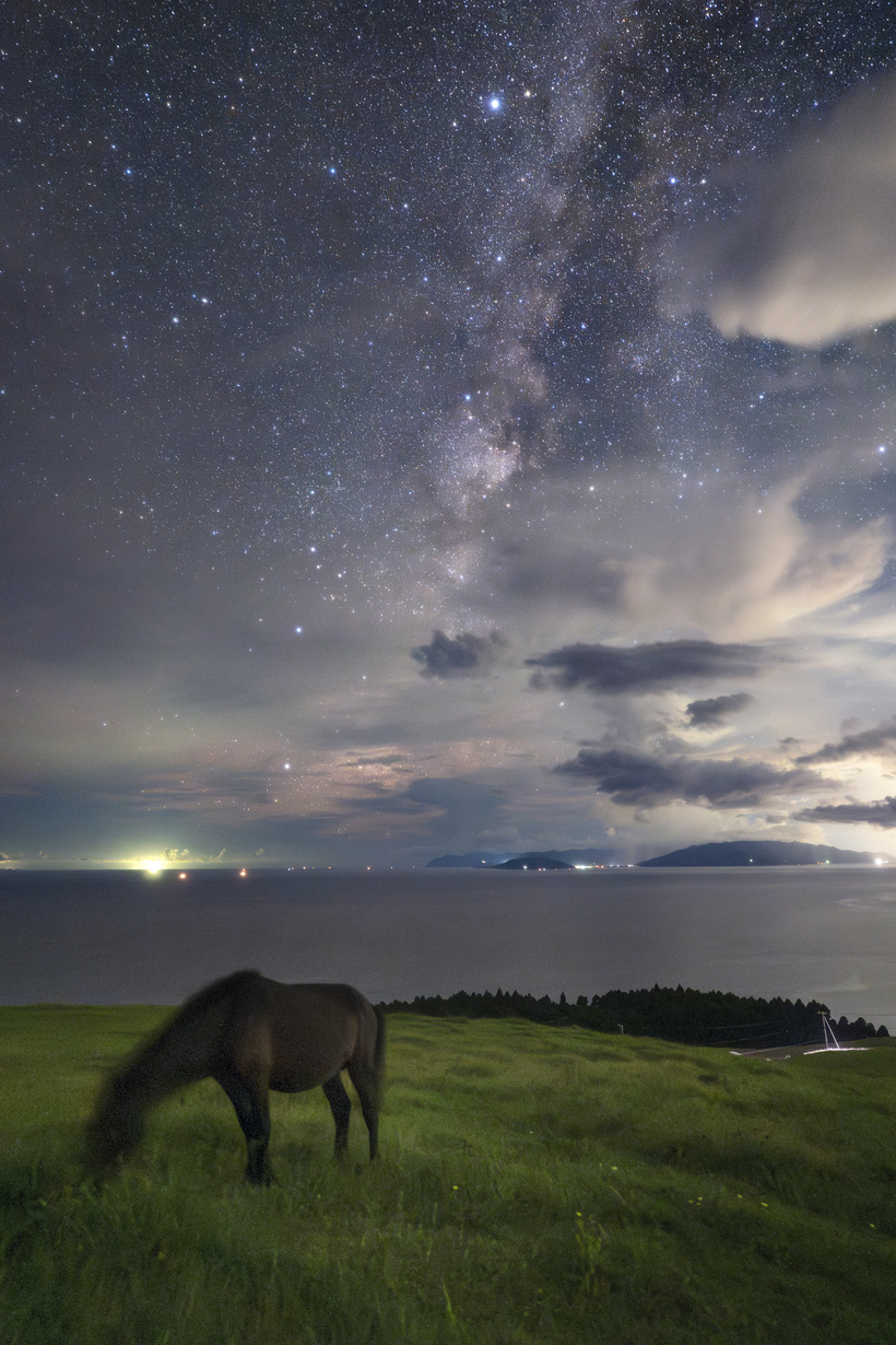 馬が奏でる星夜