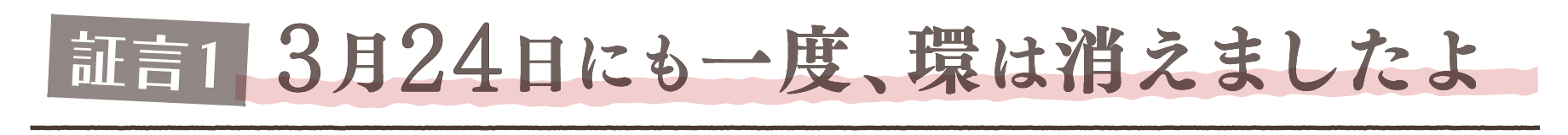 証言1. 3月24日にも一度、環は消えましたよ