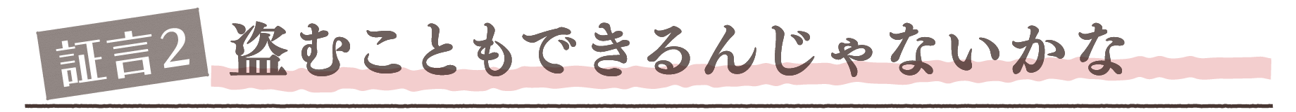 証言2. 盗むこともできるんじゃないかな