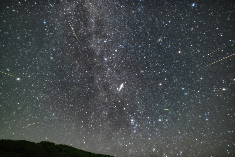 画像:ペルセウス座流星群の出現の様子