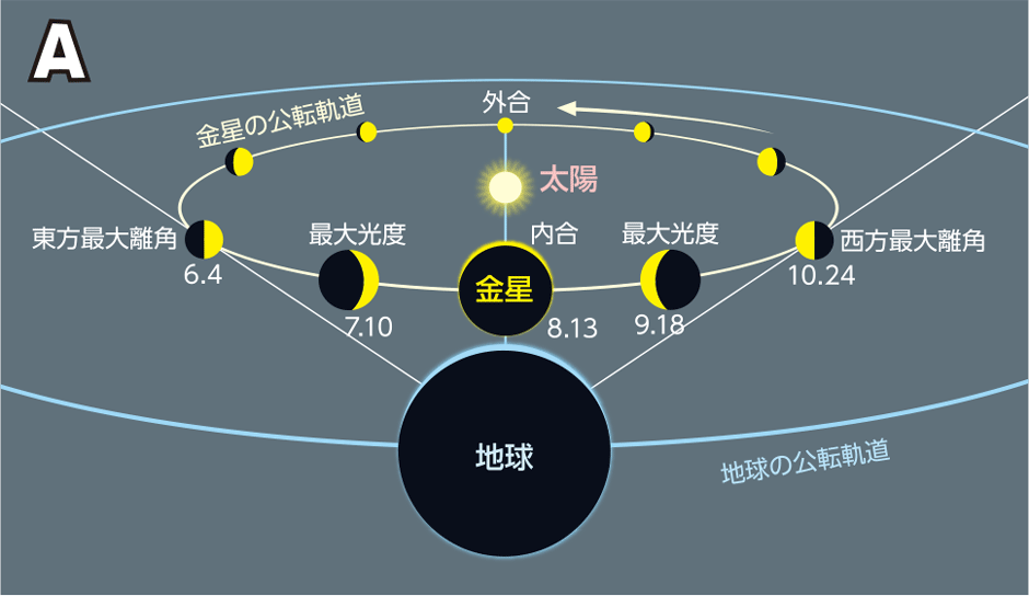 イラスト:金星の満ち欠けと見かけの大きさの変化