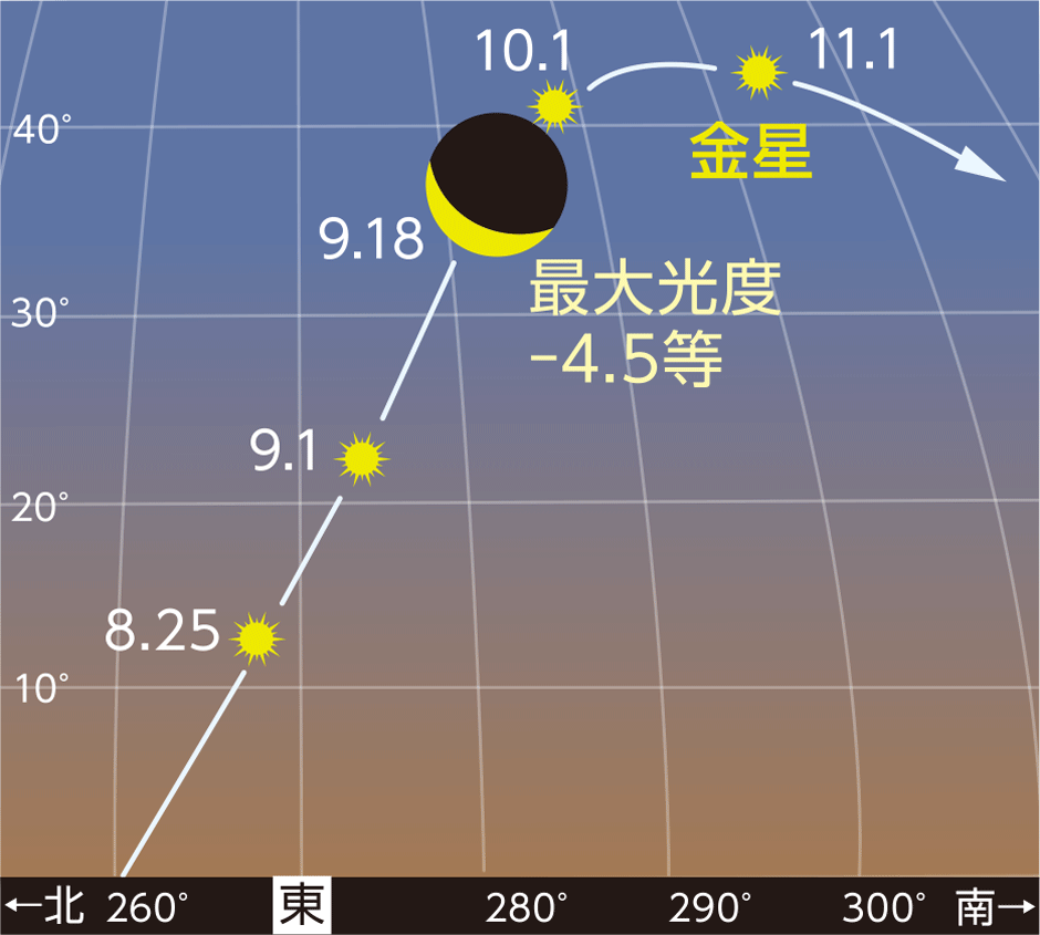 イラスト:8月25日〜11月1日の金星の位置
