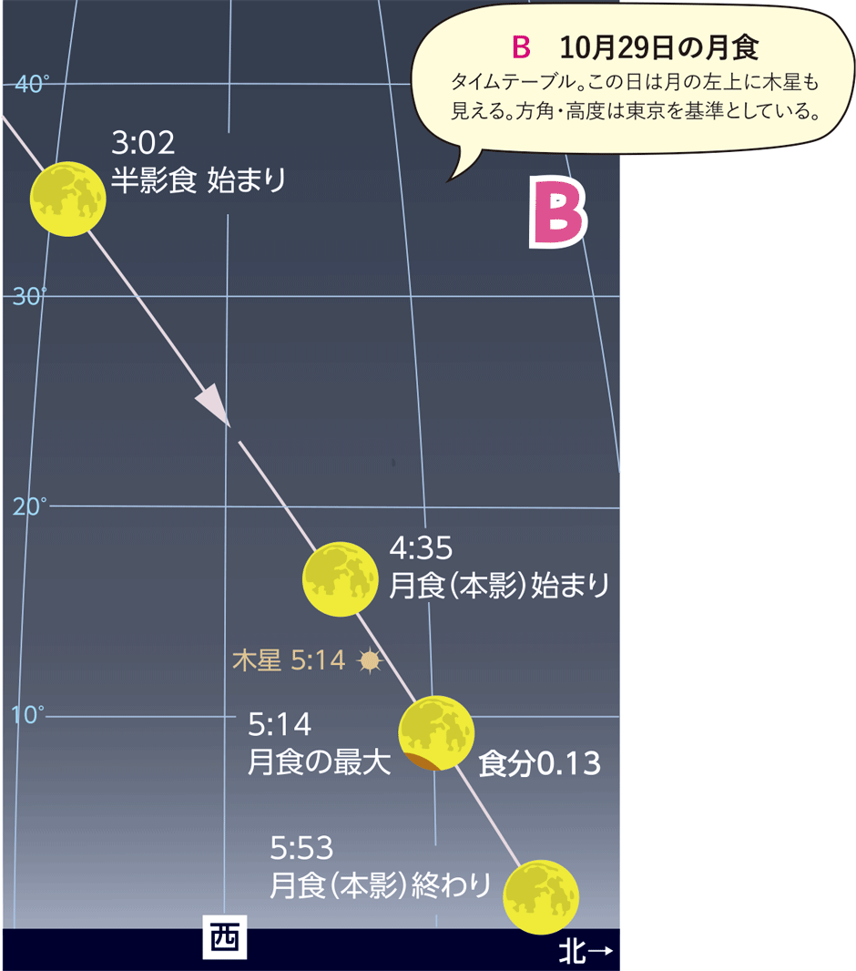 イラストB