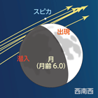 icon:NEWS