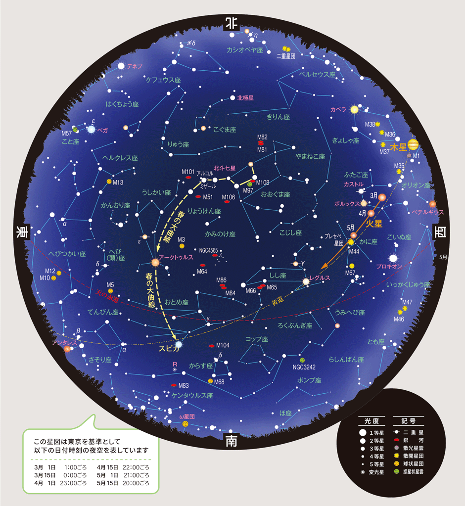 全天星図