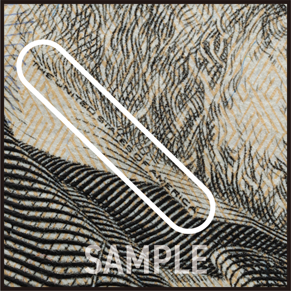 画像:50ドル紙幣