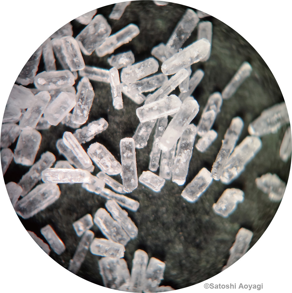 画像:うまみ調味料