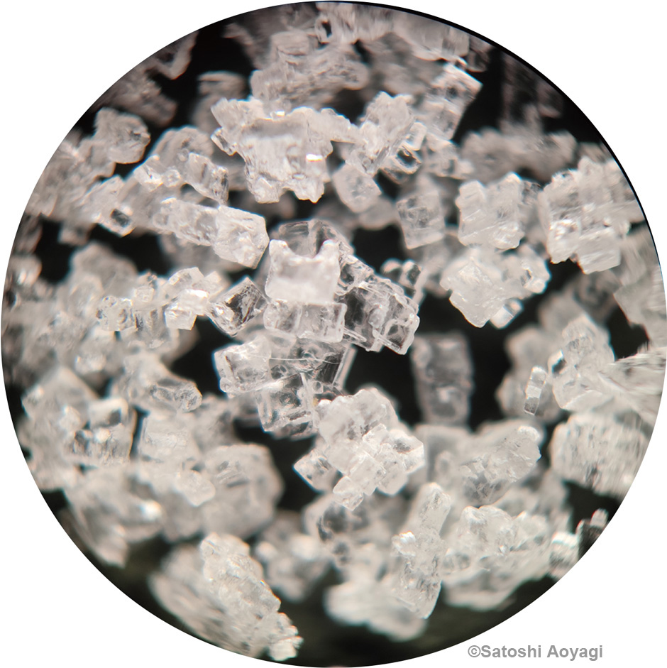 画像:カマルグの塩