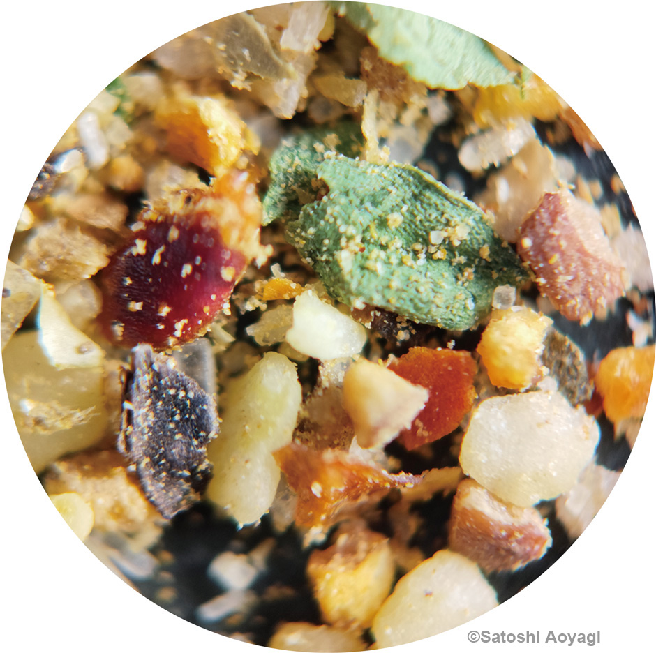 画像:アウトドアスパイス