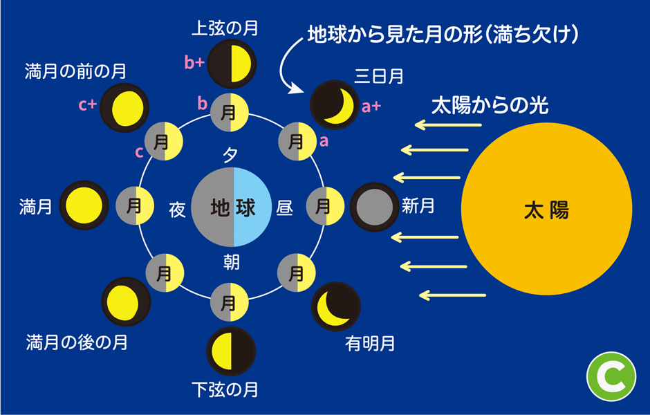 画像:イラストC