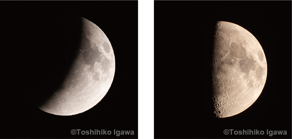 画像:部分月食と上弦の月