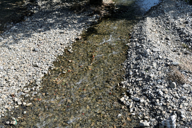 画像:路傍の石