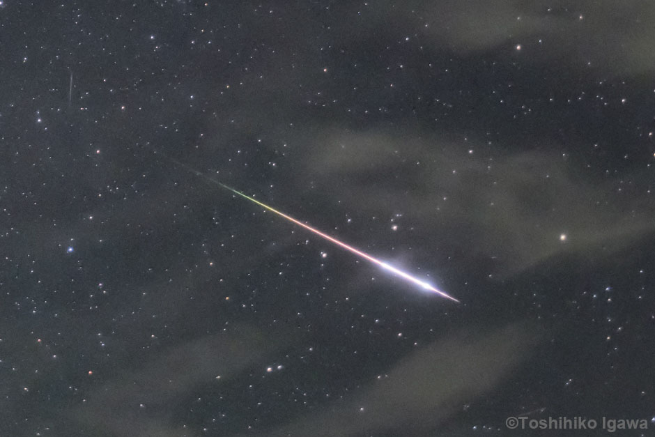 画像:ペルセウス座流星群の火球