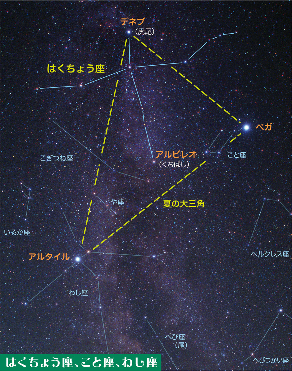 画像:はくちょう座