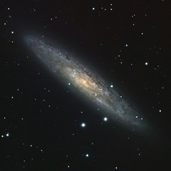 「NGC253」 高嶋 徹 | 撮影使用機材：AXD赤道儀