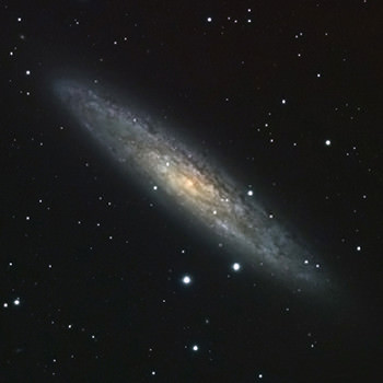 「NGC253」 高嶋 徹 | 撮影使用機材：AXD赤道儀