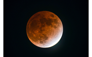 11月8日開催の「サクラタウン星空観測会」に協力～天体望遠鏡を使って皆既月食を観察しよう～