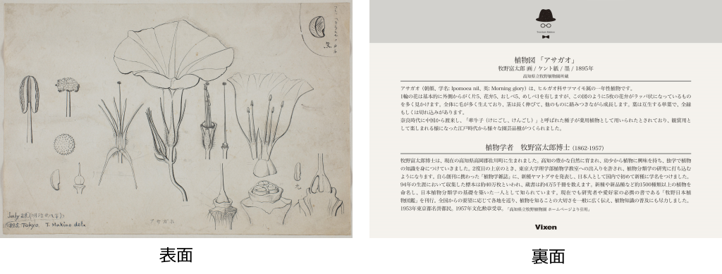 71yAuILUSyL._AC_UF894,