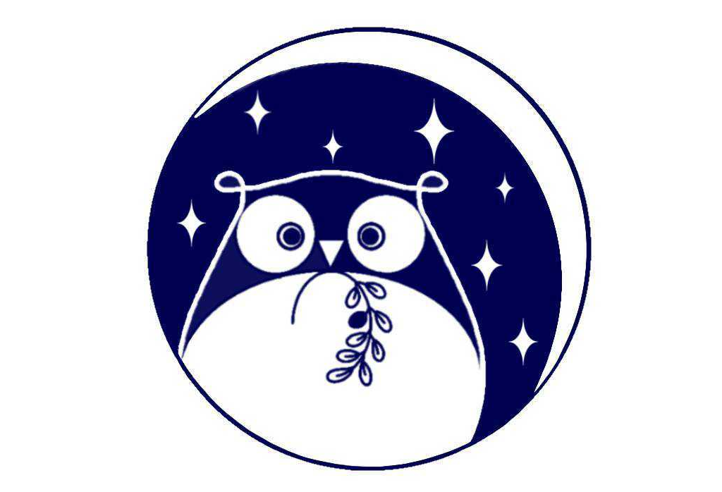 あなたの街の星空観望会を一緒に作りませんか 「若手とつくる全国星空観望会プロジェクト」を共催 参加者募集中！