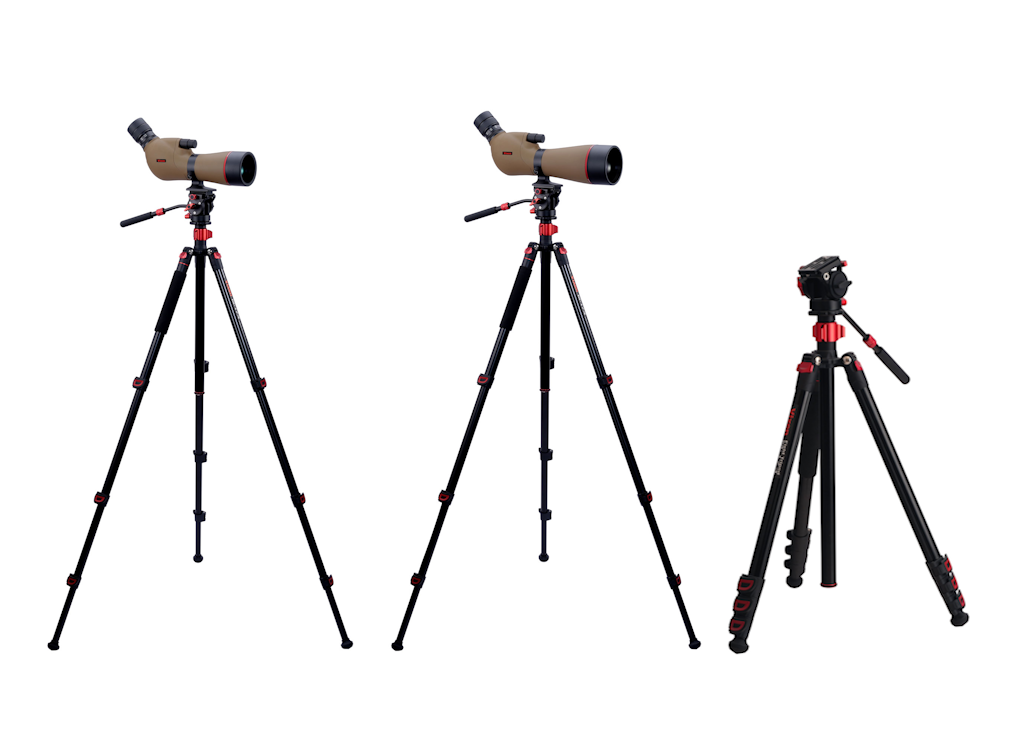 野鳥観察をさらに快適に フィールドスコープ「ジオマIII ED65 ZOOM M-174三脚セット」「ジオマIII ED80 ZOOM M-174三脚セット」を3月18日（水）に発売