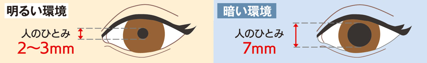 ひとみ径と明度