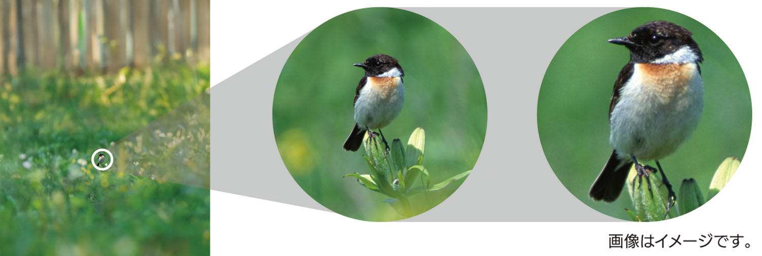 フィールドスコープの使用例