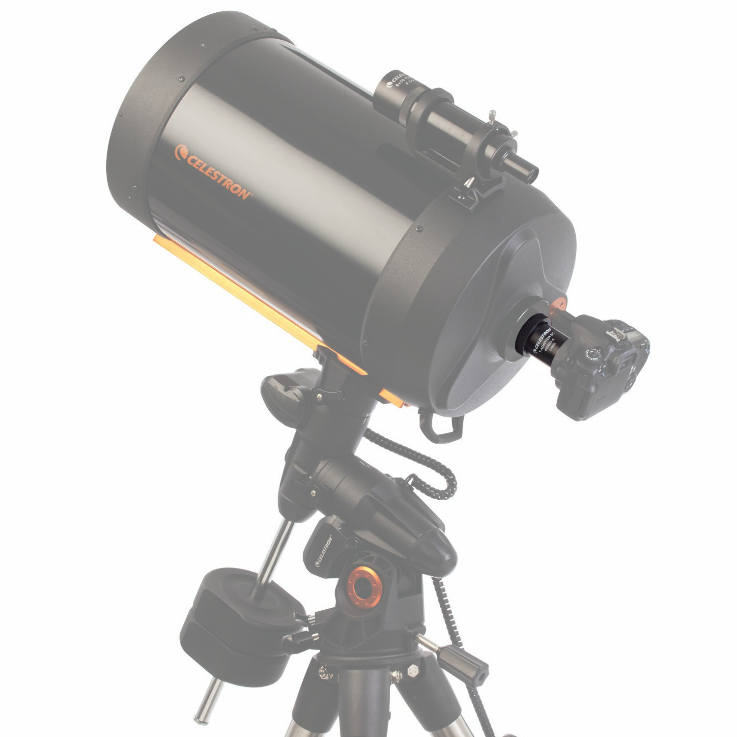 CELESTRON オプションパーツ Tアダプター SCT用