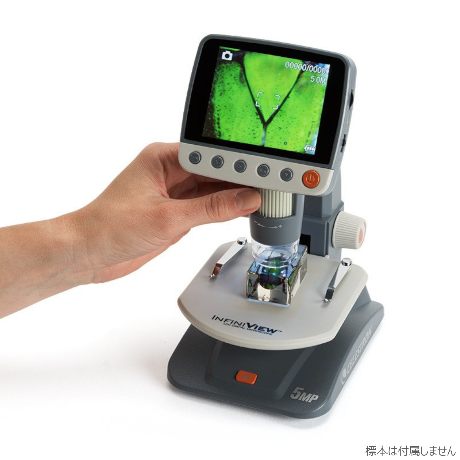 CELESTRON 顕微鏡 InfiniView LCD デジタル顕微鏡 | ビクセン Vixen